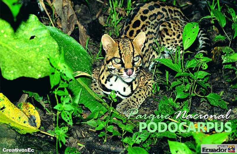 Parques Nacionales Posee El Ecuador