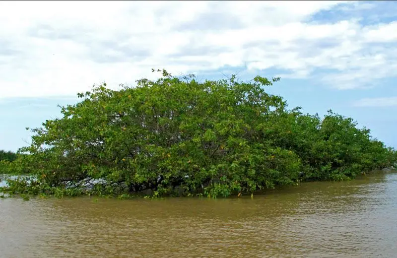 Un refugio silvestre en Esmeraldas