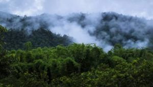 Bosque Protector Mindo Nambillo San Miguel de los Bancos