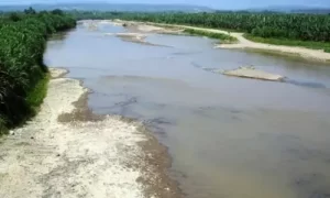 Cantonización de Pasaje Rio Jubones