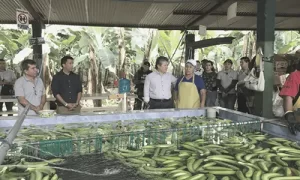 Cantonización de Huaquillas Agricultura