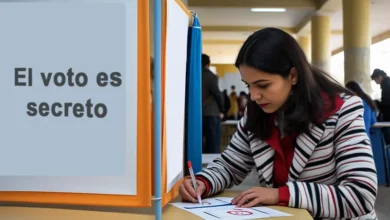 Cuál es tu lugar de votación 2025