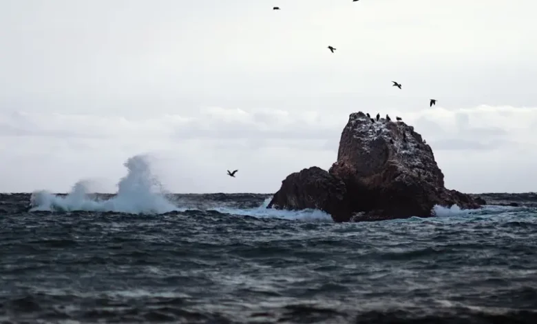 10 de marzo de 1535 Descubrimiento de las Islas Galápagos