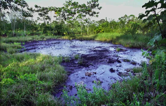 Desastre de Texaco en Ecuador
