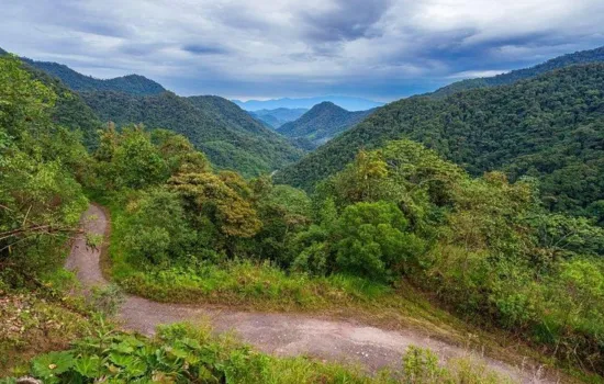 Bosque nuboso de Mindo ¿Qué hacer en feriado día del trabajo 2026?