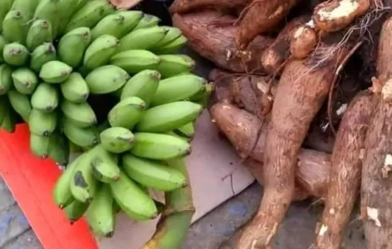 Plátano y yucas características de Orellana
