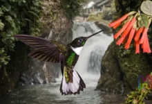 Qué hacer en feriado del día del trabajo Ecuador 2026