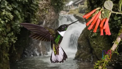 Qué hacer en feriado del día del trabajo Ecuador 2026