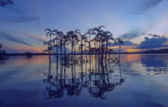 Laguna Grande de Cuyabeno - Lagos y lagunas de Ecuador