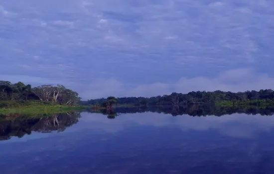 Laguna de Zancudococha